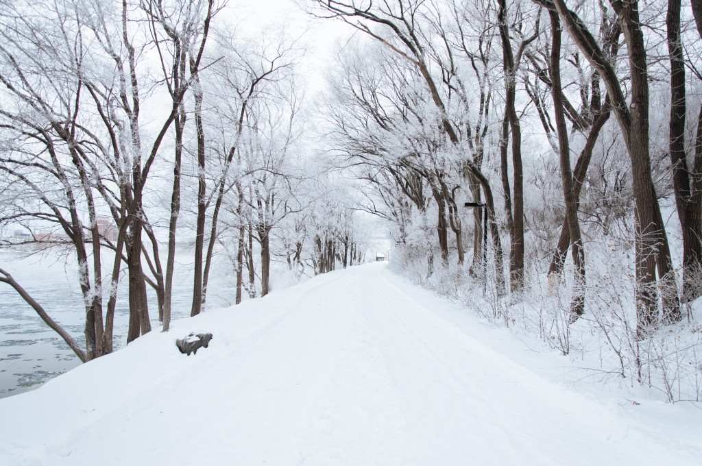 You are a snowball, rolling down a snowy hill. Photo by Ali Inay on Unsplash