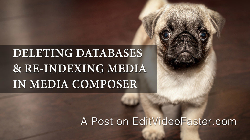 Deleting Databases and Re-Indexing in Avid Media Composer