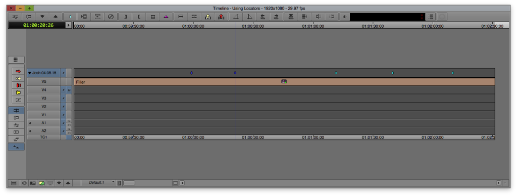 This is an empty timeline with markers on the top track that I renamed to my name and the date.