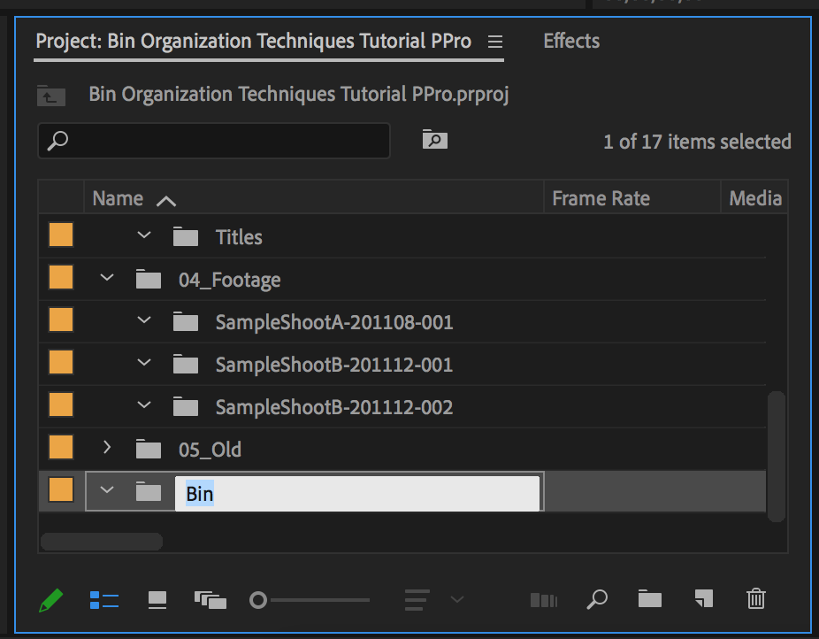 New bin created in Premiere Pro being renamed