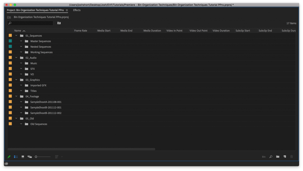 Project Panel in Premiere Pro showing my Main Bins and Sub-Bins