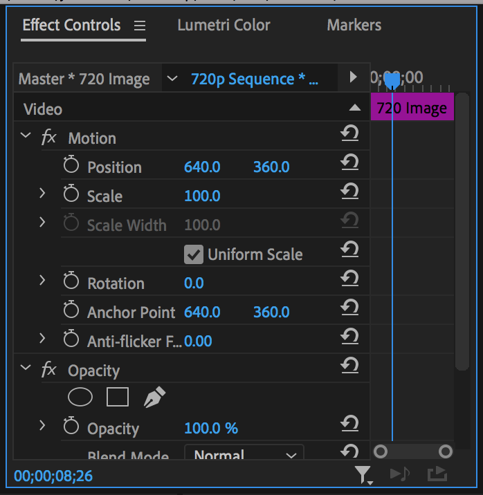 Effect Controls Panel in Premiere Pro