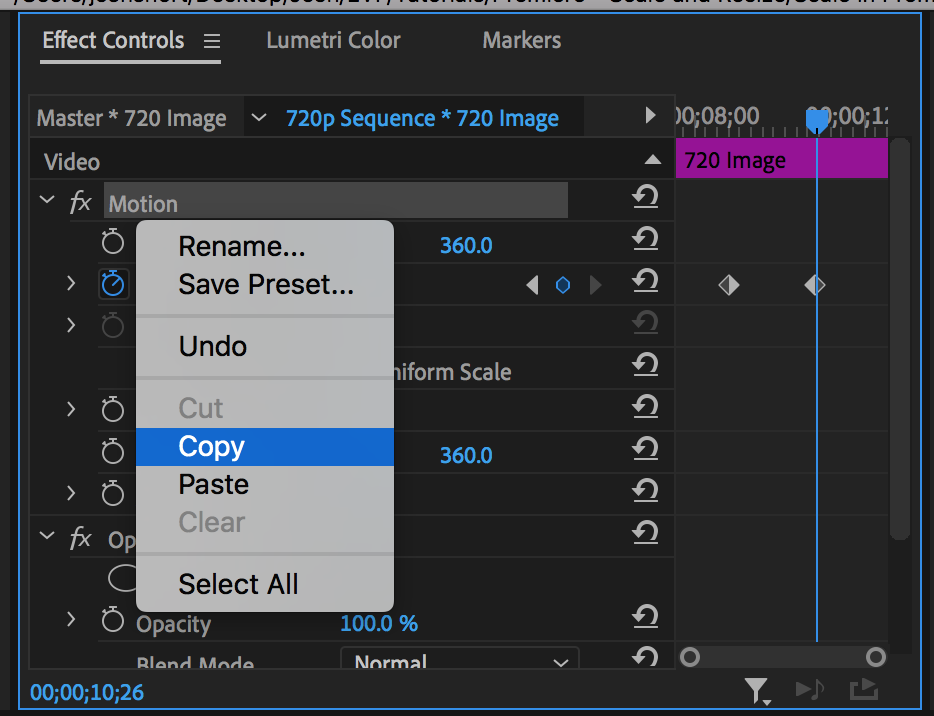 Copying Motion from Effect Controls to paste scale property onto other clips in Premiere Pro