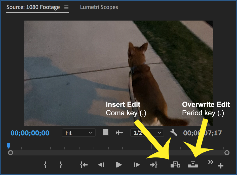 Premiere Pro Source Monitor panel with Insert Edit and Overwrite Edit icons labeled