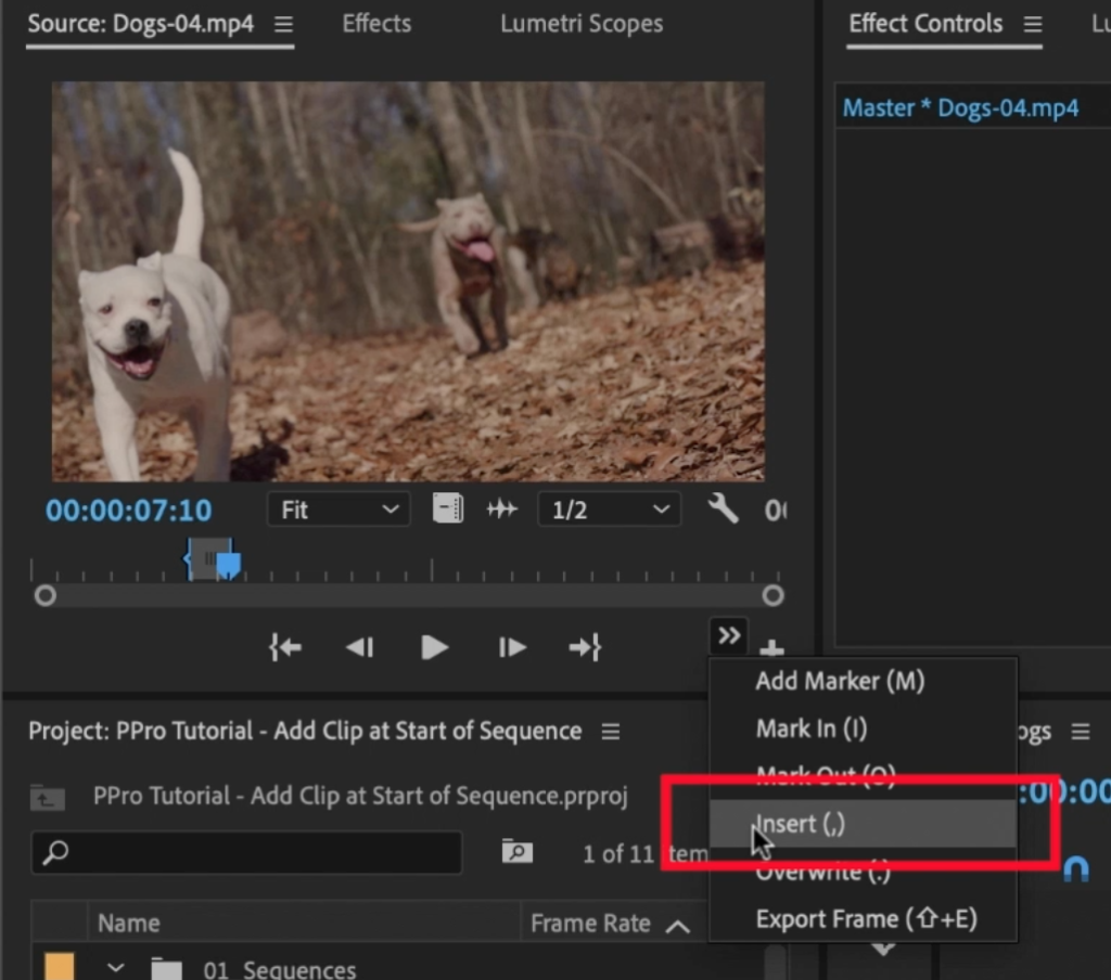 Insert Edit icon in Premiere Pro Source Monitor in order to add clip to start of timeline
