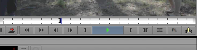 Green Play icon in Avid Media Composer